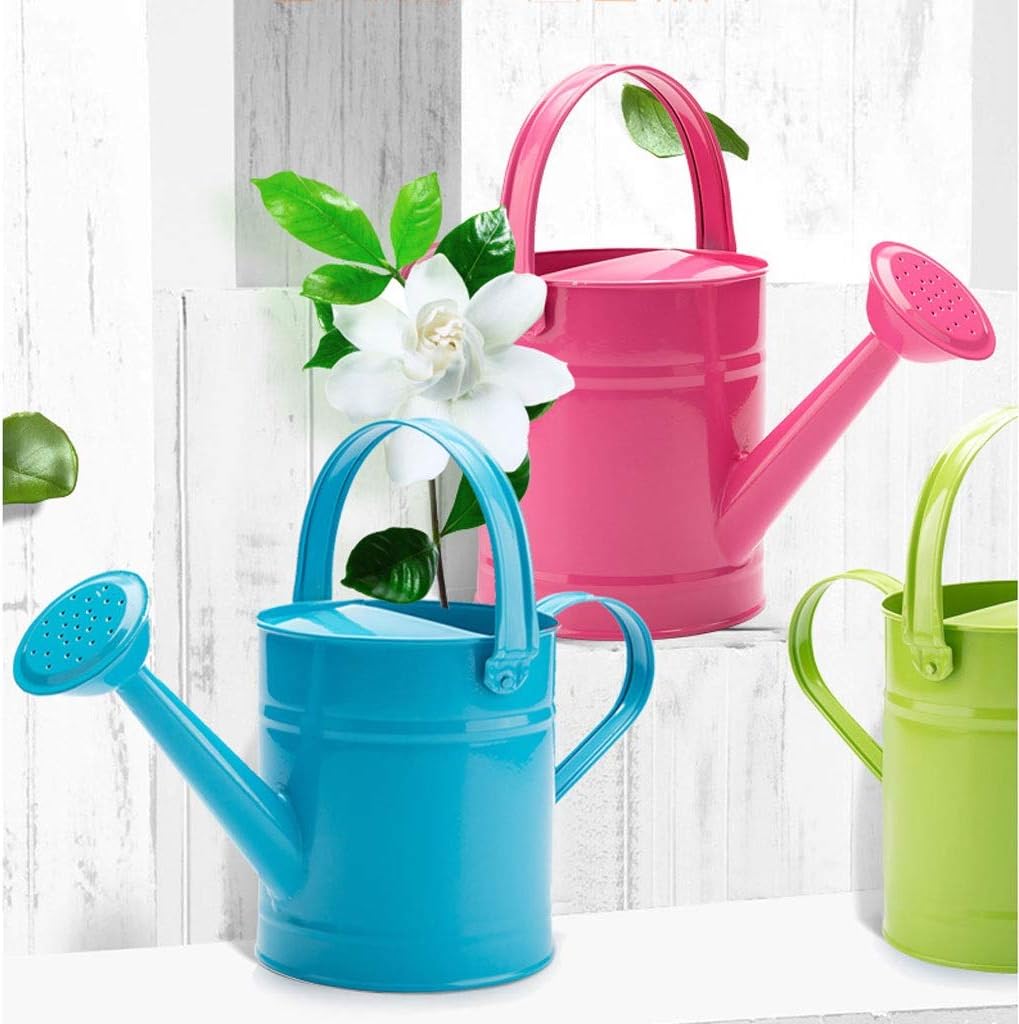 1.5L Iron Watering Can Q7058