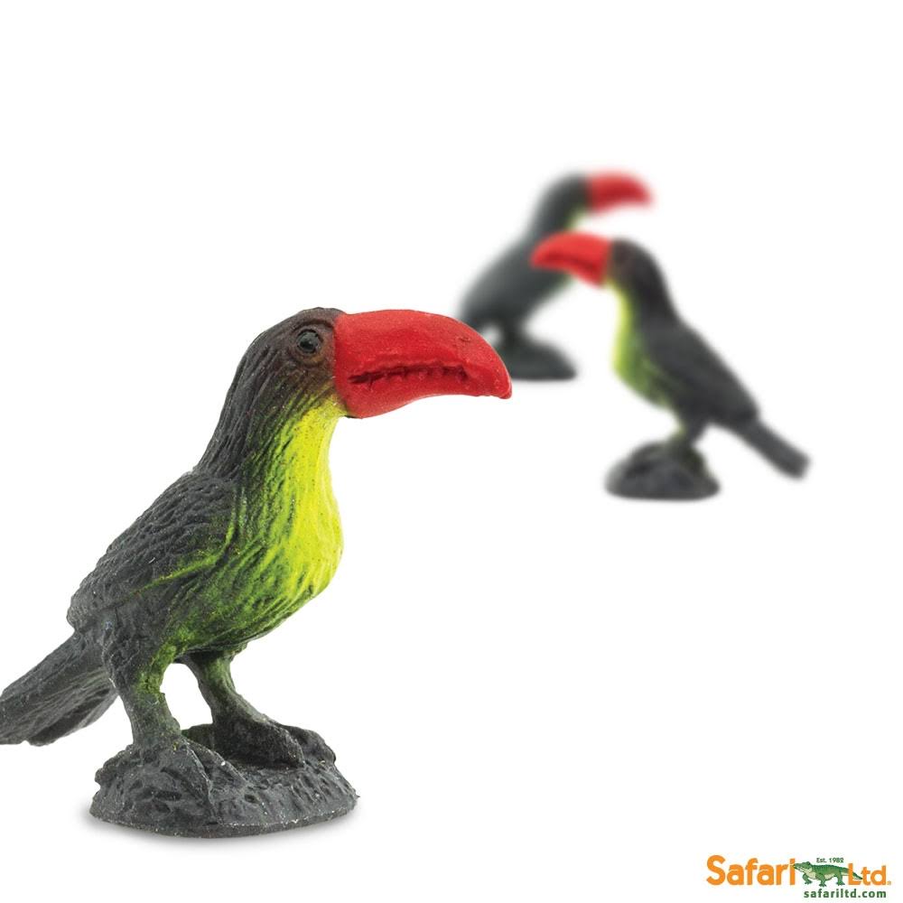 Toucans Q260