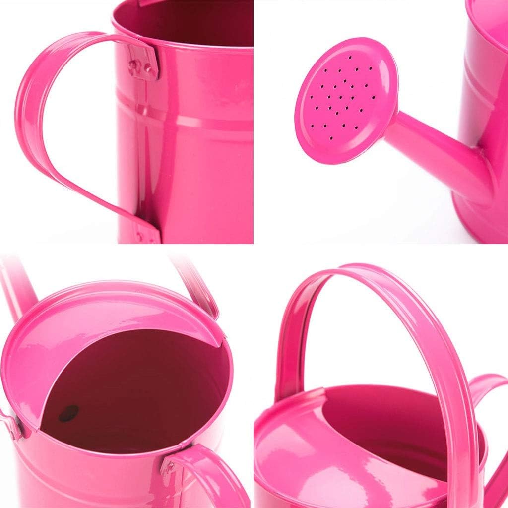 1.5L Iron Watering Can Q7058